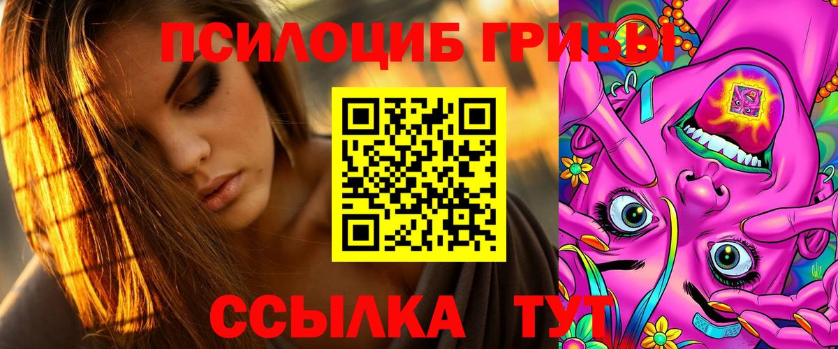 Псилоцибиновые грибы мицелий Всеволожск