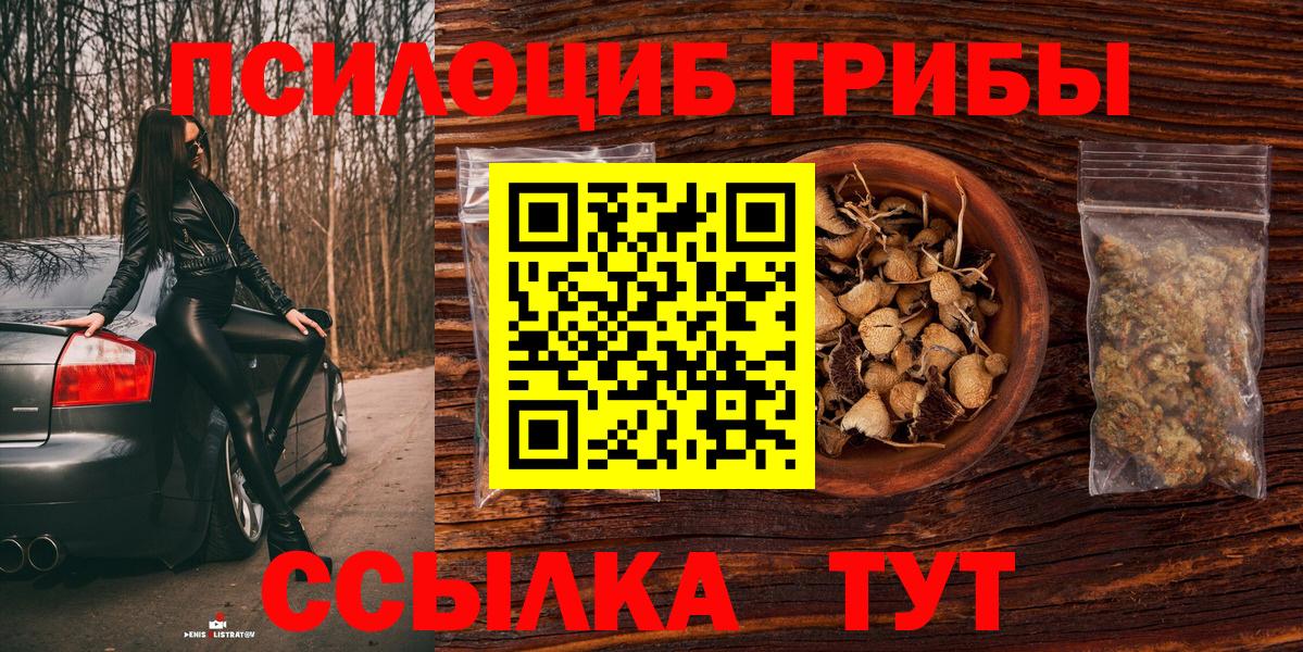 Галлюциногенные грибы Psilocybine cubensis  Вход с VPN  Всеволожск 
